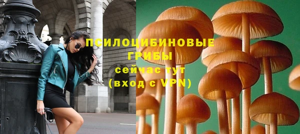 ГАЛЛЮЦИНОГЕННЫЕ ГРИБЫ Армянск