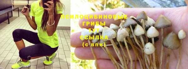амф Арсеньев